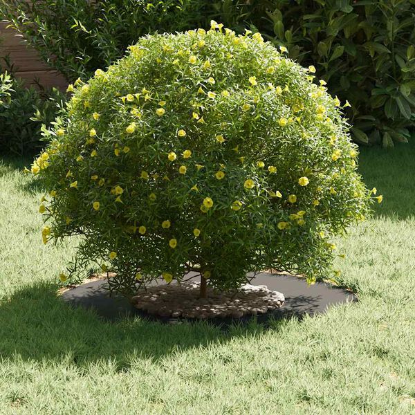 vidaXL vhodné pro ploché stromové kroužky 5 pcs Černá Ø30 / 60 cm Ocel