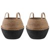 vidaXL Květin&aacute;č s &uacute;chyty 2 pcs Čern&aacute; &Oslash; 32 x 32 cm 100% mořsk&aacute; tr&aacute;va