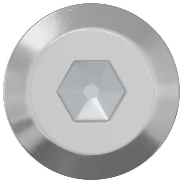 vidaXL &Scaron;roub 12 pcs Stř&iacute;brn&aacute; M6 x 60 mm Ocel