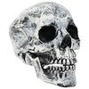 vidaXL Halloweensk&aacute; lebka SPOOKA 2 ks B&iacute;l&aacute; 12 x 15 x 17.5 cm Plast