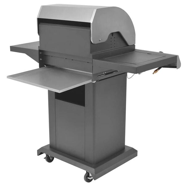 vidaXL Plynov&yacute; gril s hoř&aacute;kem s kolem Stř&iacute;brn&aacute; Ocel s kovovou hadic&iacute;