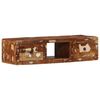 vidaXL N&aacute;stěnn&aacute; TV skř&iacute;ňka 100x32x25 cm masivn&iacute; recyklovan&eacute; dřevo
