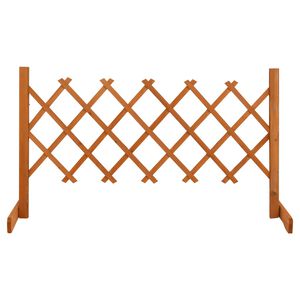 vidaXL Zahradn&iacute; trel&aacute;žov&yacute; plot oranžov&yacute; 120 x 60 cm masivn&iacute; jedle
