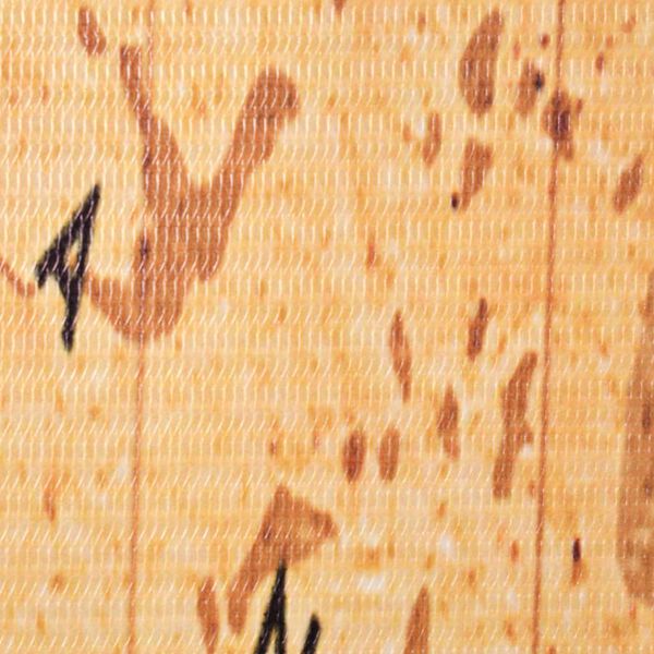 vidaXL Skl&aacute;dac&iacute; parav&aacute;n 120 x 170 cm Mapa světa žlut&yacute;