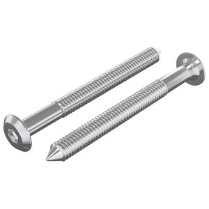 vidaXL N&aacute;bytkov&eacute; &scaron;rouby 2 pcs Stř&iacute;brn&aacute; M6 x 60 mm Ocel
