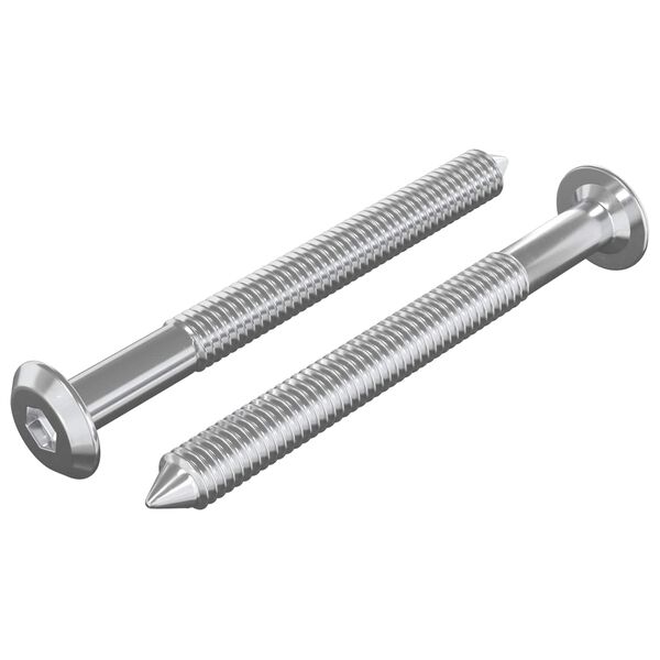 vidaXL N&aacute;bytkov&eacute; &scaron;rouby 2 pcs Stř&iacute;brn&aacute; M6 x 60 mm Ocel