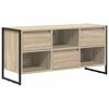 vidaXL Televizn&iacute; skř&iacute;ň 100 x 36 x 49,5 cm Sonoma Kompozitn&iacute; dřevo