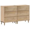 vidaXL Odkl&aacute;dac&iacute; skř&iacute;ňky 2 ks 60x33x75 cm masivn&iacute; mangovn&iacute;kov&eacute; dřevo