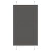 vidaXL Plisovan&aacute; roleta čern&aacute; 70x150 cm &Scaron;&iacute;řka l&aacute;tky 69,4 cm Polyester