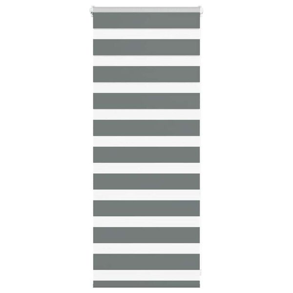 vidaXL Zebra roleta tmavě &scaron;ed&aacute; 60x100 cm &scaron;&iacute;řka l&aacute;tky 55,9 cm polyester