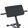vidaXL Hyperextension lavice Čern&aacute; 100.5 x 70 x 78 cm