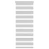 vidaXL Zebra roleta světle &scaron;ed&aacute; 60x100cm &scaron;&iacute;řka l&aacute;tky 55,9 cm polyester