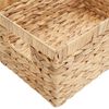 vidaXL &Uacute;ložn&eacute; ko&scaron;e 3 pcs Př&iacute;rodn&iacute; 40 x 30 x 18 cm Vodn&iacute; hyacint