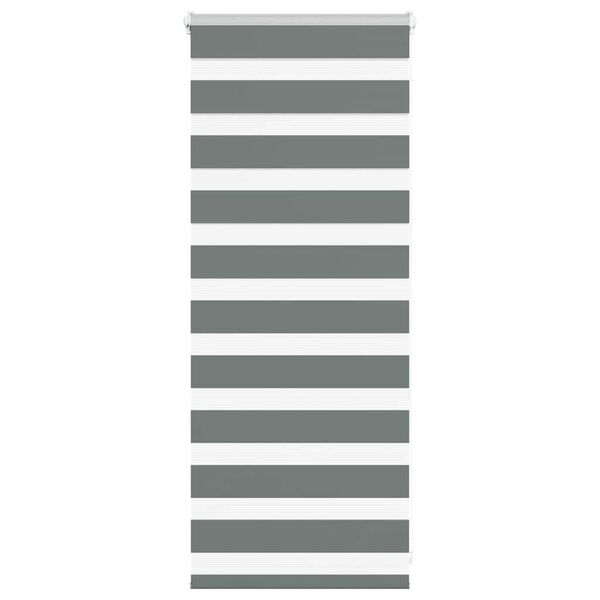 vidaXL Zebra roleta tmavě &scaron;ed&aacute; 65x100 cm &scaron;&iacute;řka l&aacute;tky 60,9 cm polyester