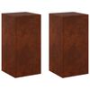 vidaXL Stojan na rostliny 2 pcs Rezav&aacute; 30 x 30 x 60 cm