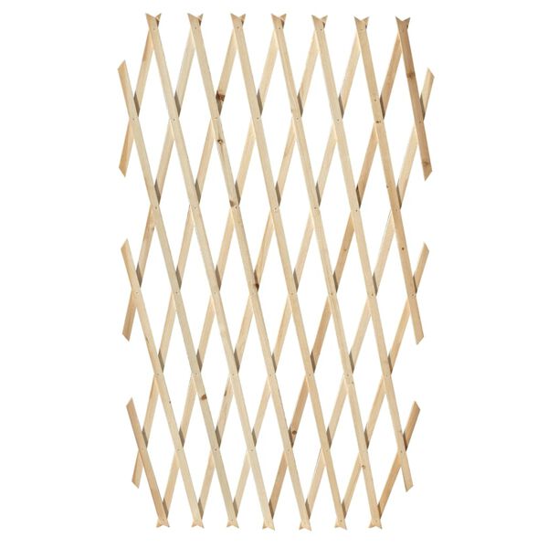 vidaXL Trelážová mřížka 5 ks masivní dřevo 180 x 90 cm