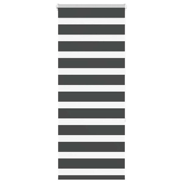 vidaXL Zebra roleta čern&aacute; 65x150 cm &scaron;&iacute;řka l&aacute;tky 60,9 cm polyester