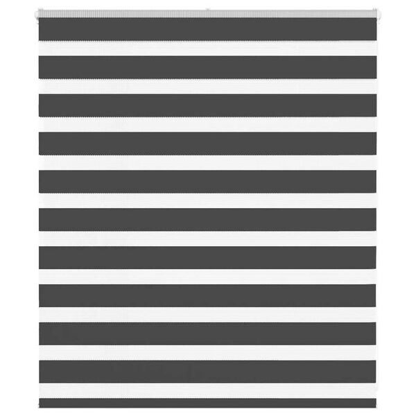 vidaXL Zebra roleta čern&aacute; 120x100 cm &scaron;&iacute;řka l&aacute;tky 115,9 cm polyester