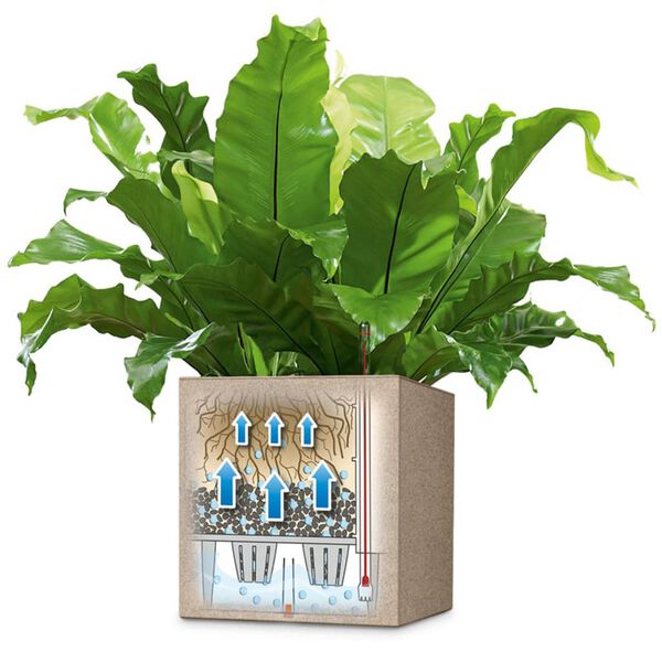 LECHUZA Květin&aacute;č Canto Color Square 40 ALL-IN-ONE b&eacute;žov&yacute; 13721