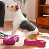 FitPAWS Balančn&iacute; platformy pro zv&iacute;řata Mini K9FITbone 2 ks 29x16,5x6cm