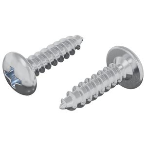 vidaXL &Scaron;roub 2 pcs Stř&iacute;brn&aacute; M4 x 16 mm Ocel