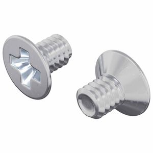 vidaXL Hřeb&iacute;ky s opatřenou hlavou 2 pcs Stř&iacute;brn&aacute; M4 x 6 mm Ocel