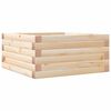 vidaXL Zahradní truhlík 50 x 50 x 23 cm masivní borovice