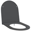 vidaXL Toaletn&iacute; prkno Antracitov&aacute; 47 x 36 x 3,4 cm Duroplast