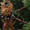 N&aacute;hledov&yacute; obr&aacute;zek produktu 13 z 17