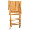 vidaXL Skl&aacute;dac&iacute; židle 4 ks 55x61x90 cm masivn&iacute; teak