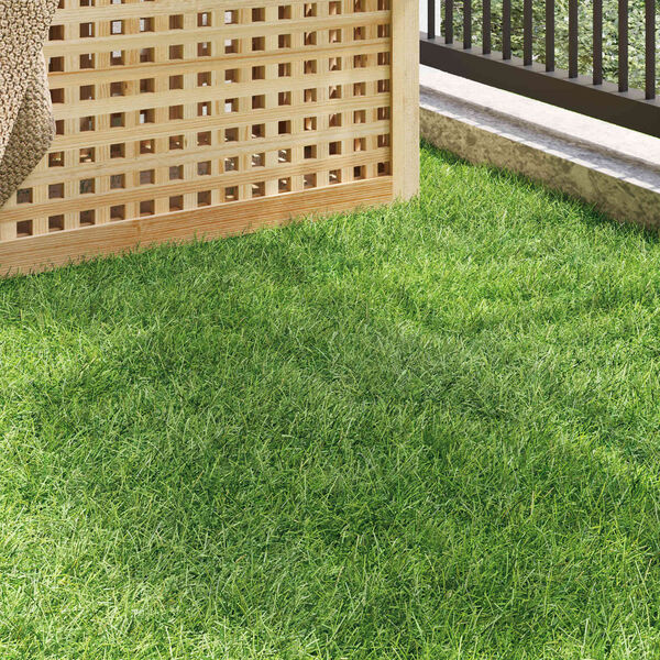 Zobrazen&iacute; obr&aacute;zku produktu 3 z 10