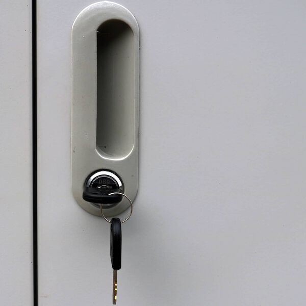 vidaXL Z&aacute;mkov&aacute; skř&iacute;ň &Scaron;ed&aacute; 45 x 90 x 180 cm