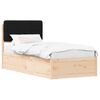 Brown_and_black