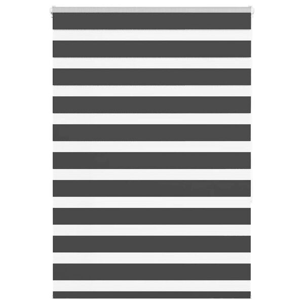 vidaXL Zebra roleta čern&aacute; 100x150 cm &scaron;&iacute;řka l&aacute;tky 95,9 cm polyester