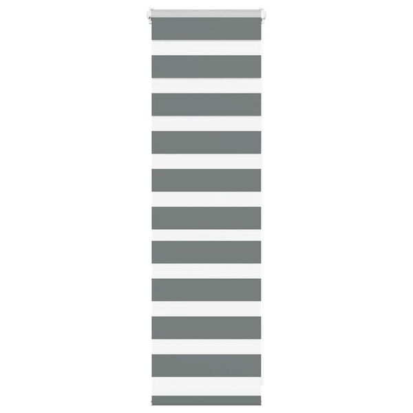 vidaXL Zebra roleta tmavě &scaron;ed&aacute; 50x100 cm &scaron;&iacute;řka l&aacute;tky 45,9 cm polyester