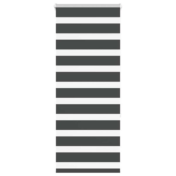 vidaXL Zebra roleta čern&aacute; 55x150 cm &scaron;&iacute;řka l&aacute;tky 50,9 cm polyester