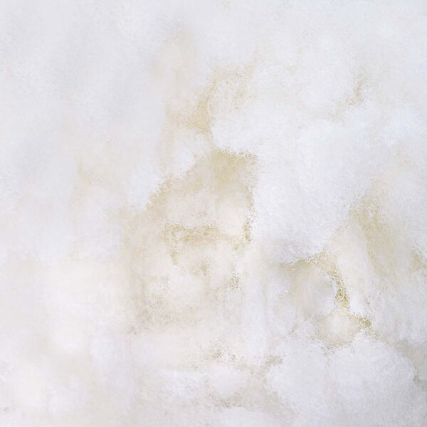 vidaXL V&yacute;plň z vl&aacute;ken B&iacute;l&yacute; 5 kg Polyester