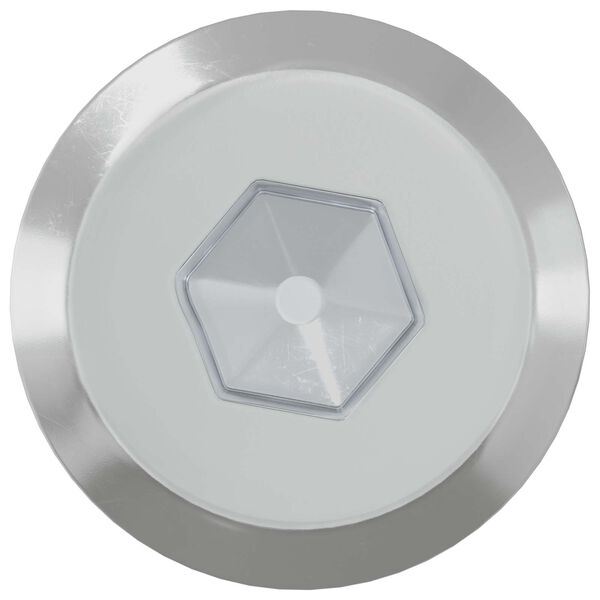 vidaXL N&aacute;bytkov&eacute; &scaron;rouby 2 pcs Stř&iacute;brn&aacute; M6 x 60 mm Ocel