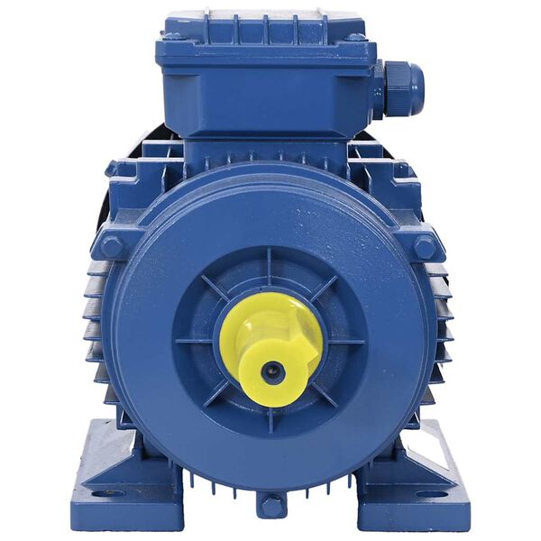 vidaXL 3f&aacute;zov&yacute; elektromotor hlin&iacute;kov&yacute; 2,2 kW/3 hp 2 p&oacute;ly 2840 ot./min