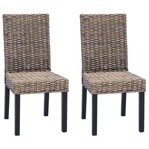 vidaXL J&iacute;deln&iacute; židle 2 pcs Čern&aacute; om&iacute;tka 45 x 54 x 93 cm