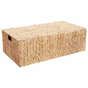 vidaXL &Uacute;ložn&aacute; krabice Př&iacute;rodn&iacute; 60 x 38 x 20 cm Vodn&iacute; hyacint