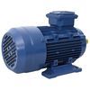 vidaXL 3f&aacute;zov&yacute; elektromotor hlin&iacute;kov&yacute; 2,2 kW/3 hp 2 p&oacute;ly 2840 ot./min