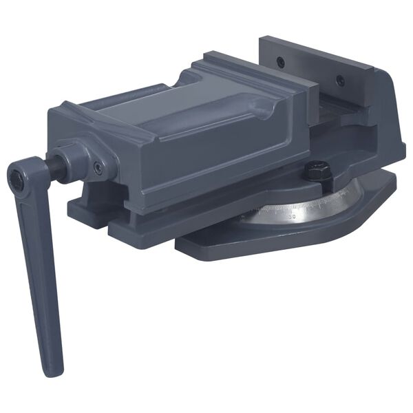 vidaXL Otočn&yacute; strojn&iacute; svěr&aacute;k litina 125 mm