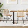 vidaXL J&iacute;deln&iacute; židle 2 pcs Př&iacute;rodn&iacute; 44 x 47 x 85 cm Ratan a železo