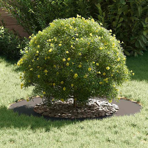 vidaXL vhodn&yacute; pro ploch&yacute; stromov&yacute; kroužek Čern&aacute; &Oslash;50 / 80 cm Ocel