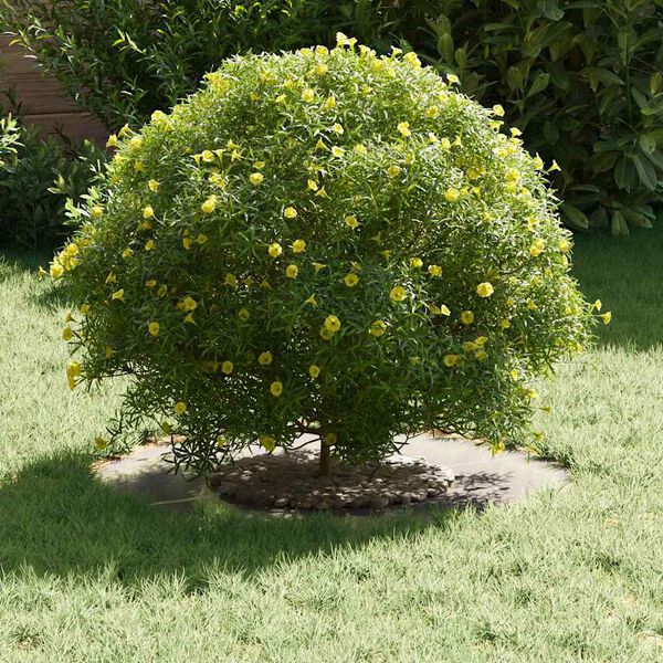 vidaXL vhodný pro plochý stromový kroužek Stříbrná Ø30 / 60 cm