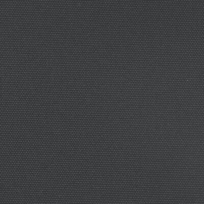 vidaXL Zatahovací boční markýza černá 160 x 1 200 cm