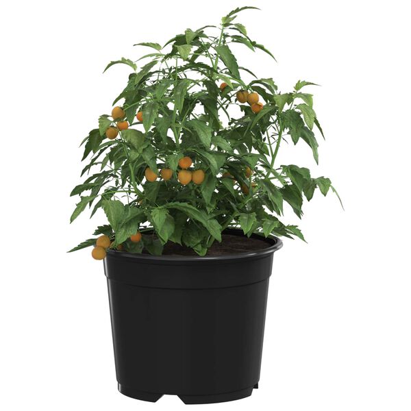 Zobrazen&iacute; obr&aacute;zku produktu 3 z 11