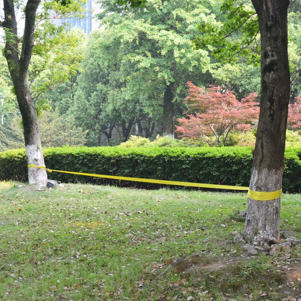 vidaXL Slackline, 15 m x 50 mm, 150 kg, žlutá