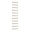 vidaXL N&aacute;stěnn&aacute; dekorace ve tvaru žebř&iacute;ku 50x200 cm Př&iacute;rodn&iacute; větev